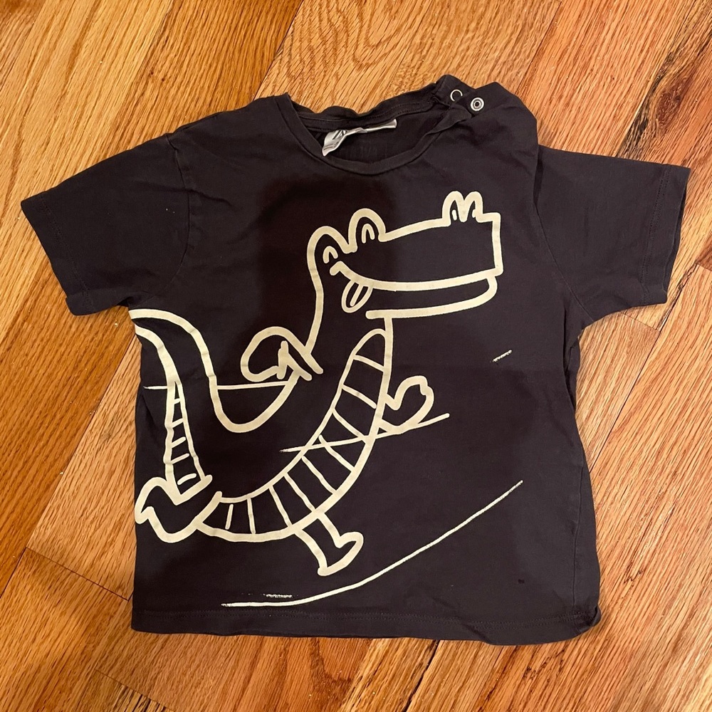Zara Dinosaur Tee